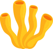 security-feature-shape1